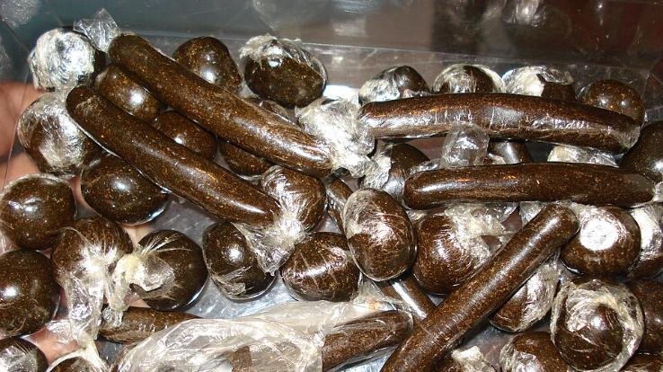 Solan_Following_a_tip-off_a_youth_was_arrested_with_238_grams_of_hashish.