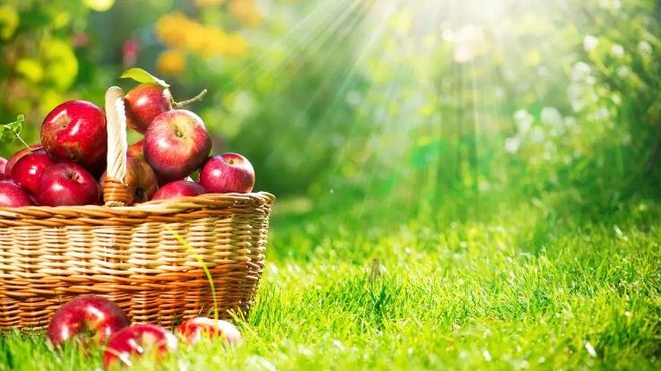 Himachal: Today, farmers and gardeners will surround the secretariat and raise their demands.