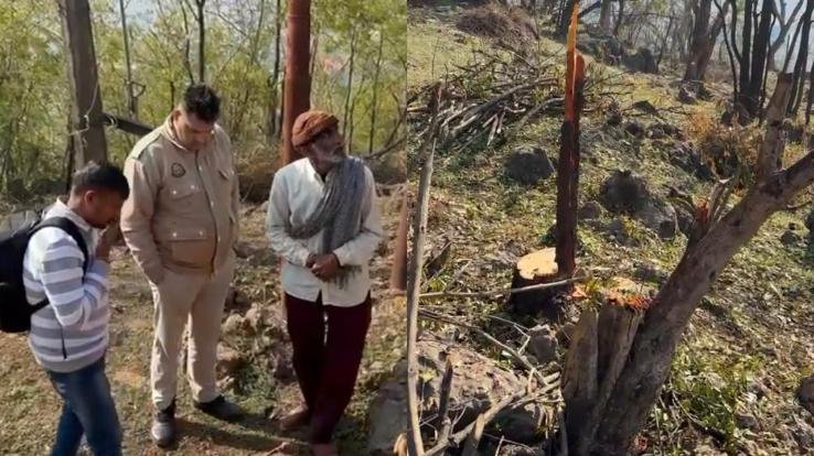 Bilaspur_Sandalwood_smugglers_wreak_havoc_axes_fell_on_15_trees_overnight