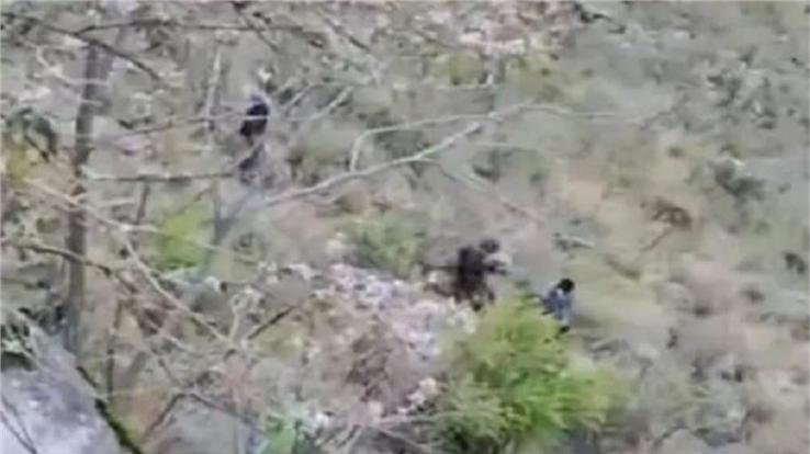 Tragic accident in Kinnaur, two youths died after falling into a deep gorge