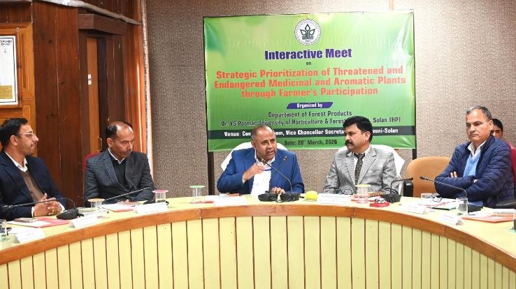 Solan: Brainstorming at Nauni University to save endangered medicinal plants