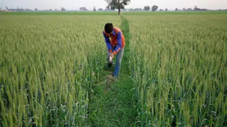 खेतों तक पहुंची मोबाइल क्रांति, व्हाट्सएप से हो रहा है किसानों की समस्याओं का समाधान