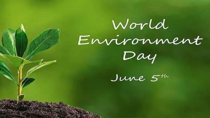 ऑनलाइन व्हाट्सएप के माध्यम से करेंगे पर्यावरण दिवस का आयोजन 