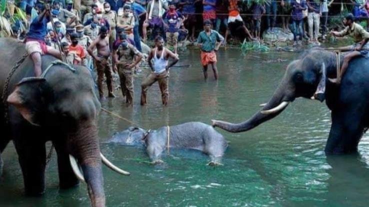 'वो मौन रहकर सब सह गई' - नर्बदा ठाकुर