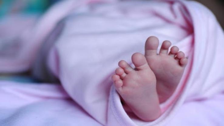 निरमण्ड की 8 माह की बच्ची कोरोना संक्रमित