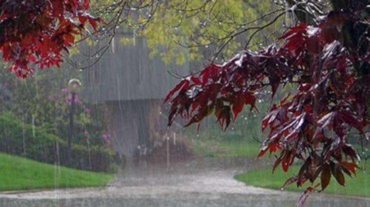 वर्षा ऋतु के दृष्टिगत आवश्यक दिशा-निर्देश जारी