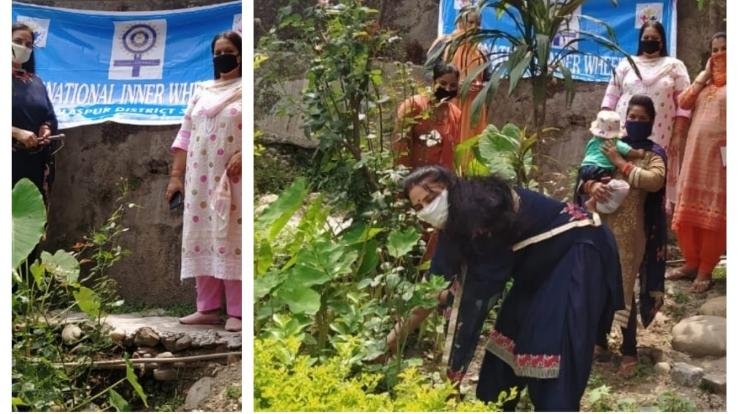 अंतर्राष्ट्रीय इनरव्हील क्लब ने वृक्षारोपण द्वारा की नए सत्र की शुरुआत