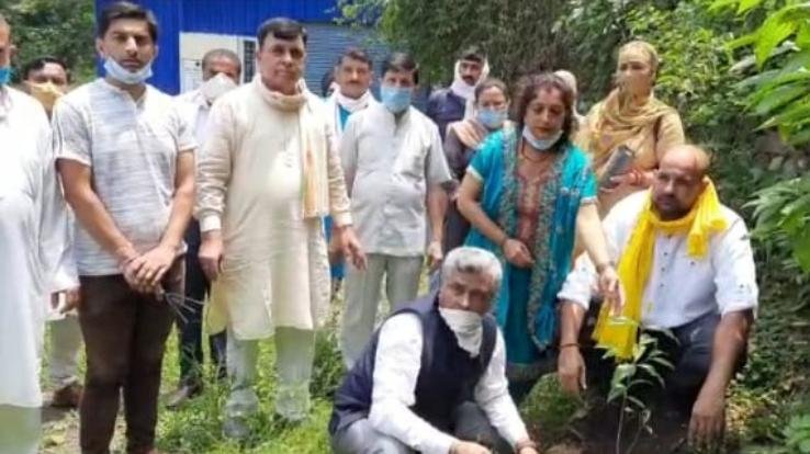 जिला कांग्रेस ने बिलासपुर के चारों विधानसभा क्षेत्रों में किया पौधरोपण