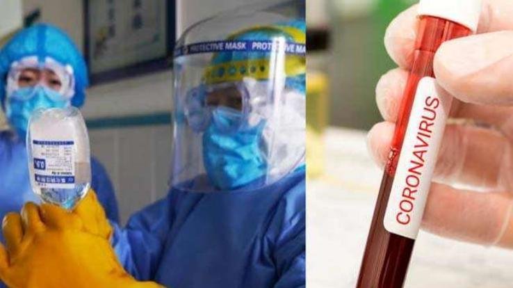 नित्थर और निरमंड से लिए गए 89 सैंपल नेगेटिव एक पॉजीटिव