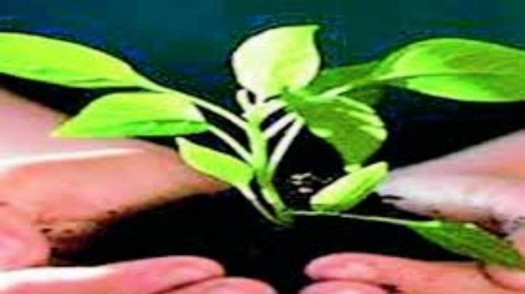 पौधरोपण में किसान मोर्चा भी करेगा अम्बुजा का सहयोग