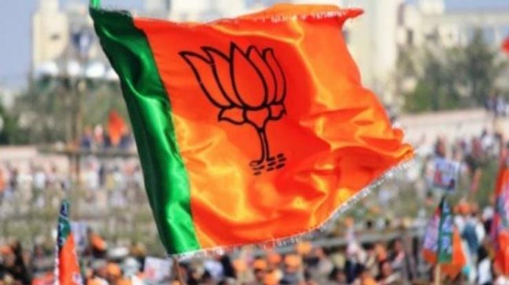 जुब्बल कोटखाई भाजपा आईटी विभाग की कार्यकारिणी घोषित