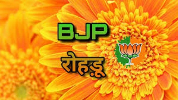रोहड़ू भाजपा ने किया आईटी कार्यकारिणी का गठन