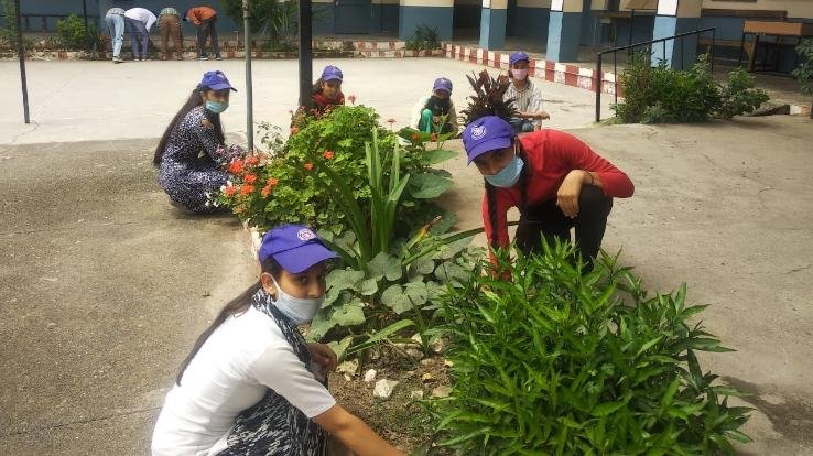 धुन्दन पाठशाला एनएसएस इकाई ने मनाया वन महोत्सव 