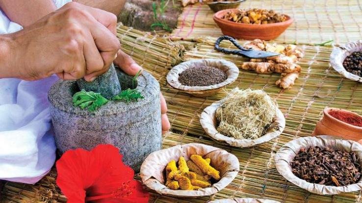 आयुर्वेदिक चिकित्सा के प्रति लोगों का बढ़ रहा रुझान...