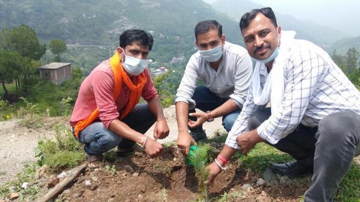 भाजपा युवा मोर्चा अर्की ने किया वन महोत्सव कार्यक्रम का आयोजन