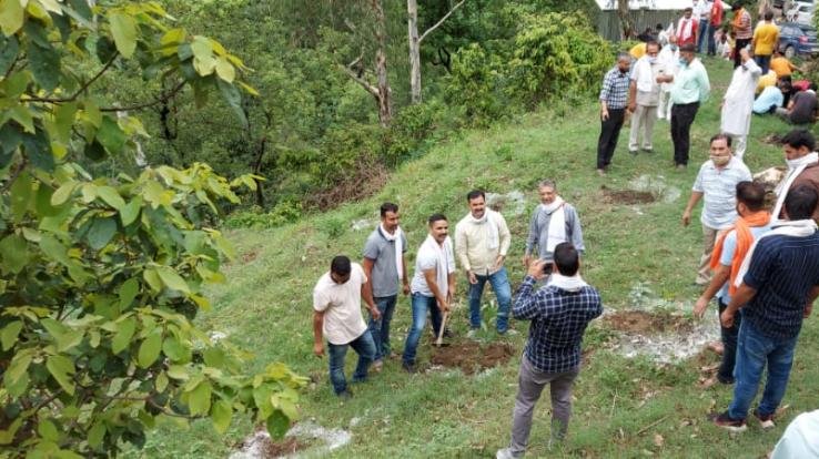 प्रकृति को संतुलित बनाए रखने में पेड़ पौधो का अमुल्य योगदान : सुभाष ठाकुर