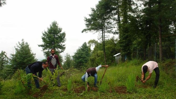 क्षेत्रीय बागवानी अनुसंधान केंद्र में मनाया गया वन महोत्सव