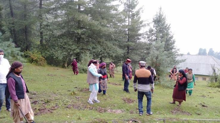 रोहड़ू भाजपा महिला मोर्चा ने डिसवाणी मे किया पौधरोपण