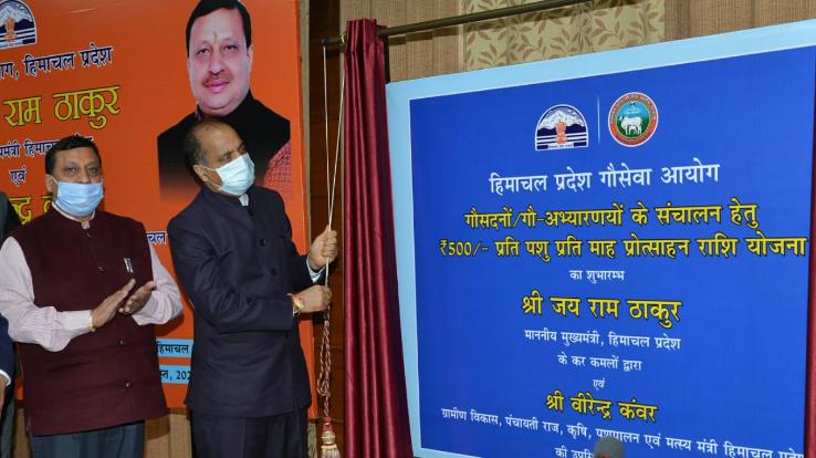 हिमाचल को बेसहारा पशु मुक्त राज्य बनाने के प्रयास में जुटी प्रदेश सरकार : मुख्यमंत्री 