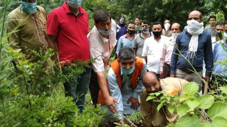 ग्राम पंचायत बुघार में पौधरोपण कार्यक्रम आयोजित