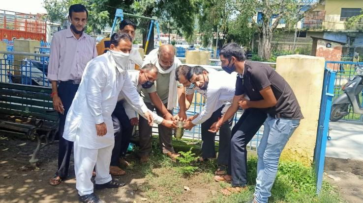 हमीरपुर कांग्रेस ने स्वतंत्रता दिवस पर किया पौधरोपण 