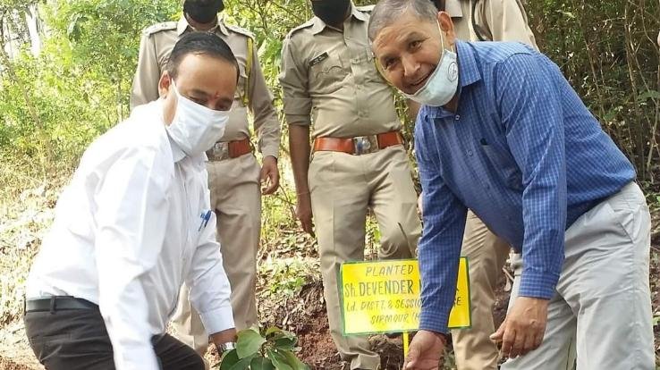 plantation-programme-organized-in-sirmaur