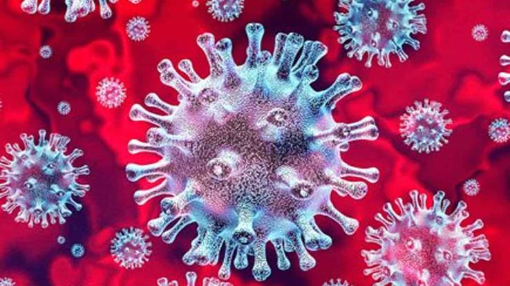 2-more-deaths-because-of-coronavirus-in-himachal