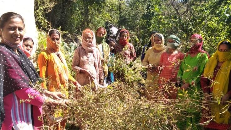 cleanliness-campaign-organized-in-dawti