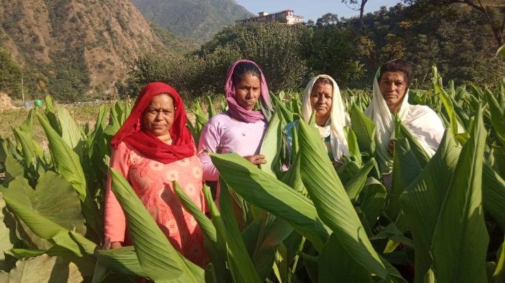 पलाशला गांव की ग्रामीण महिलाएं स्वयं सहायता समूह से जुड़ कर हो रहीं आर्थिक सशक्तिकरण की ओर अग्रसर