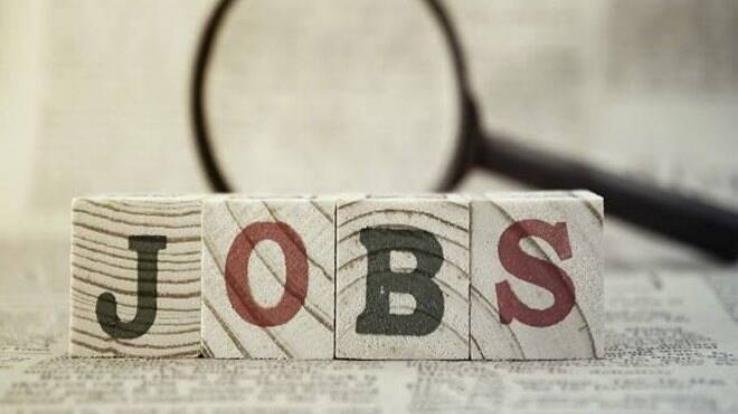 4-posts-of-village-employment-servants-vacant