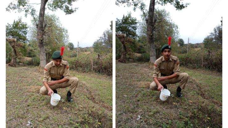 batra-college-palampur