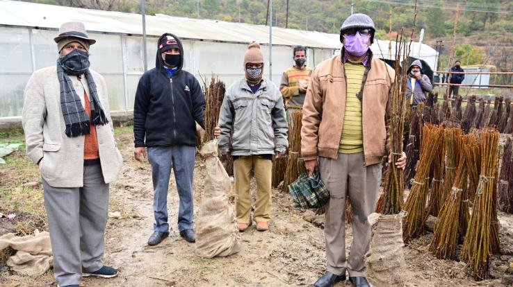 Annual-fruit-plants-sale-and-planting-advisory-held-at-UHF-Nauni