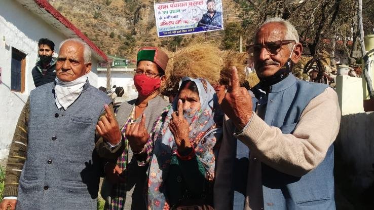 Second phase of Panchayat elections: 43.03 percent voting in Solan till 12 noon