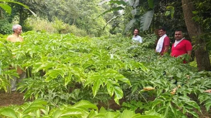 Irrigation facility and crop diversification increased farmers income