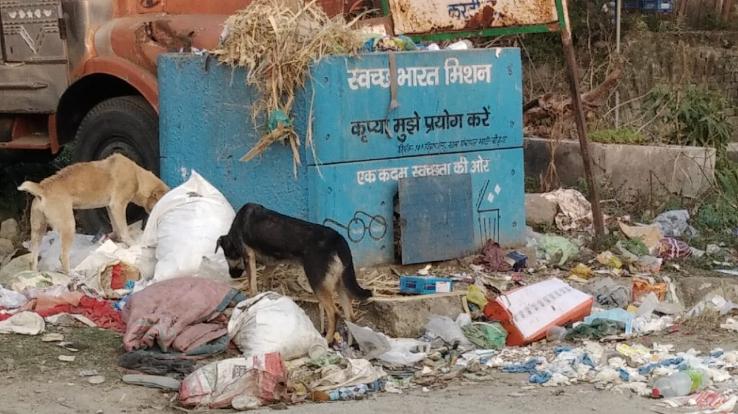 Cleanliness campaign fails in Bhati Bohan Panchayat publicly