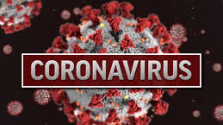 41 teachers positive together in sarkaghat