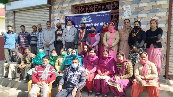 Jogindra Central Cooperative Bank organized FMC camp in Gram Panchayat Dadwa