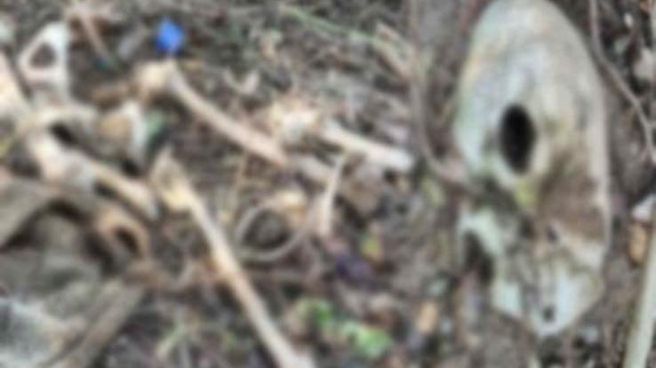 Skeleton found in Chanju Nala of Churah region