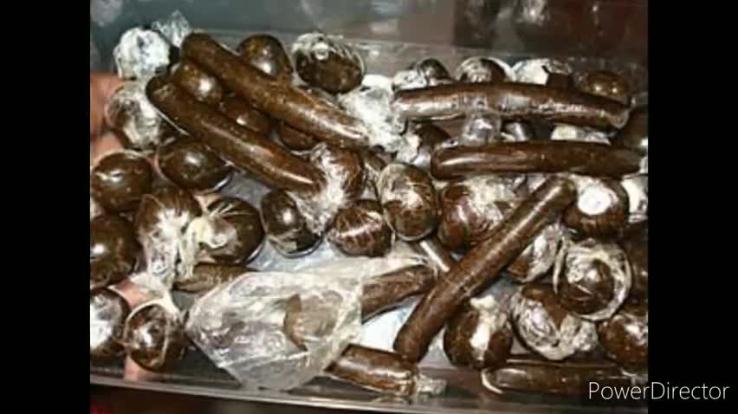 Police tighten screws on drug smugglers in Chamba district, has recovered charas from two places