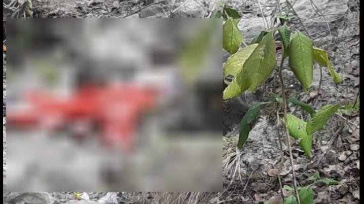 Youth's dead body found in Amb forest