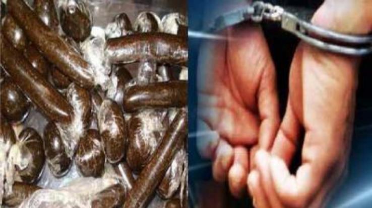 Kullu police arrested two Haryana youths with a kilo of 464 grams of charas