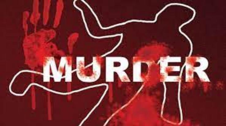 Brother brutally murdered sister, injured mother IGMC Shimla Refer
