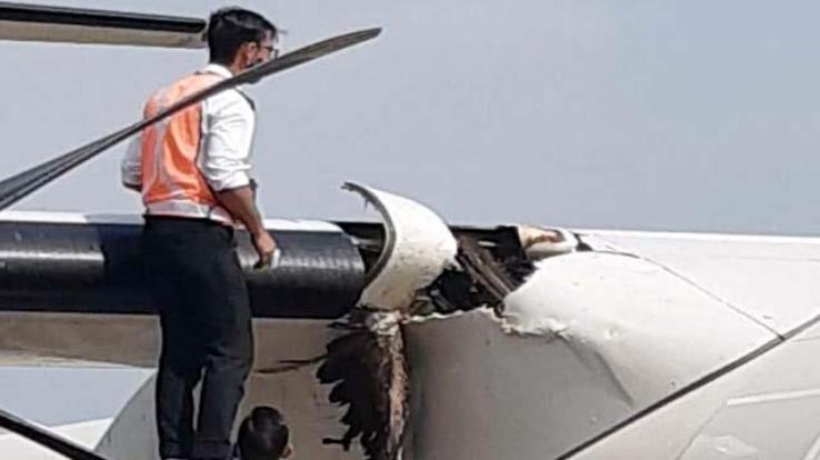 Birds crashed into aircraft during landing at Gagal,