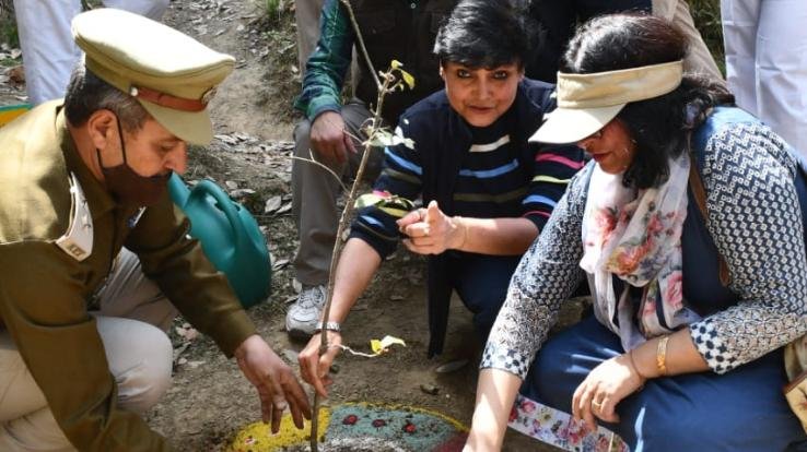 Forest Department cleaned the forests