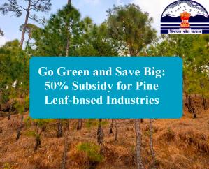 Go-Green-and-Save-Big-50-Subsidy-for-Pine-Leaf-based-Industries