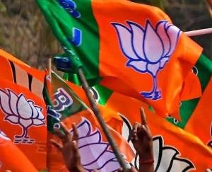No matter who the face is, the possibility of coronation from Kangra is strong!