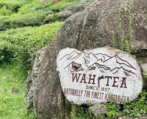 in_1857_the_nawab_of_oudh_established_the_first_tea_estate_in_palampur_himachal_pradesh