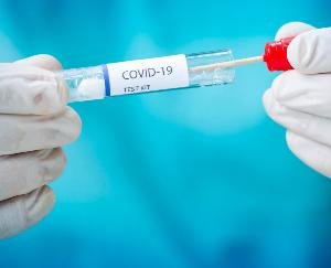 solan-covid-test-himachal