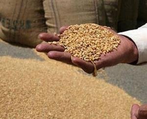 rashan-depu-himachal-pradesh-2021-17-may