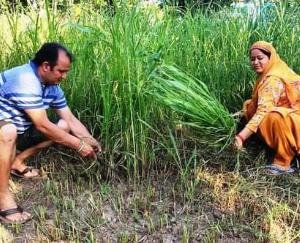 कृषक हितैषी योजनाओं का भरपूर लाभ उठा रहे हमीरपुर जिला के किसान